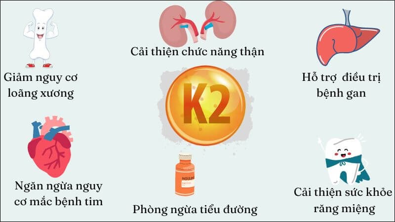 Vitamin K2 đóng vai trò quan trọng với sức khỏe